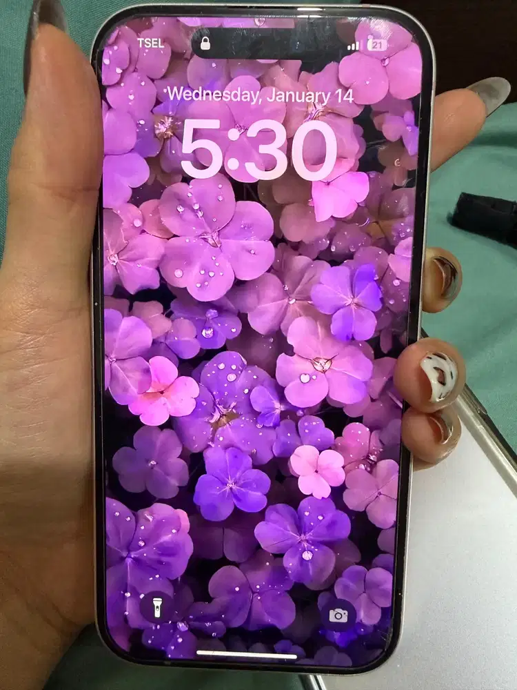 Apple Iphone 125gb Pink BEKAS / PRELOVED