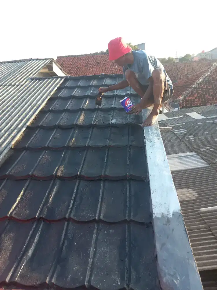 Tukang perbaikan atap bocor,dag,talang,cat rumah,renopasi dll