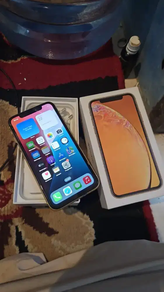 iPhone XR 128 GB Inter