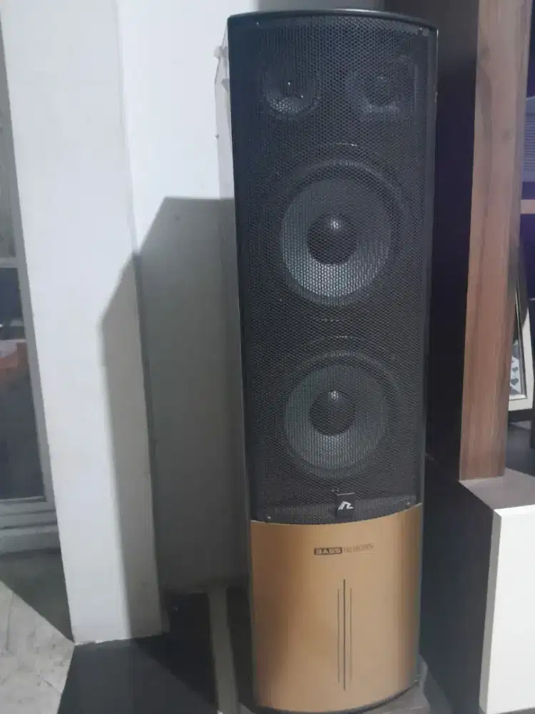 Speaker BASS REBORN