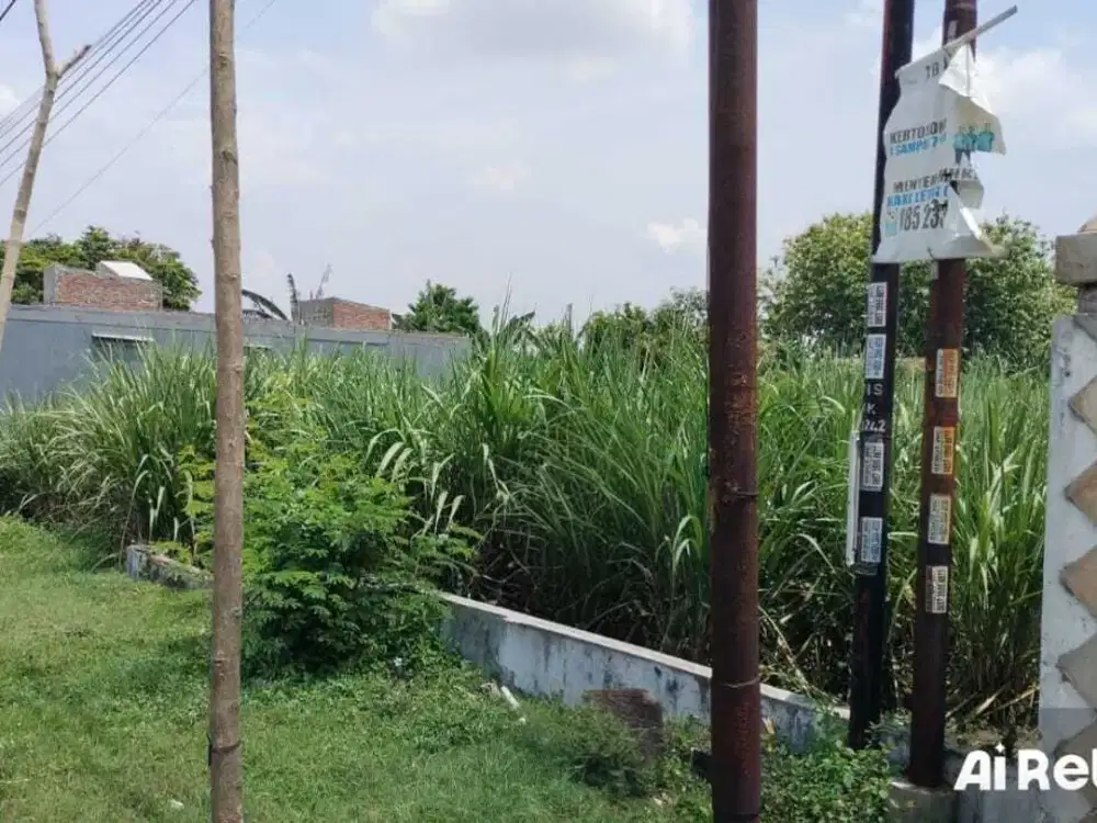 JUAL CEPAT BUTUH CEPAT LAKU TANAH di RAYA PAPAR - KEDIRI