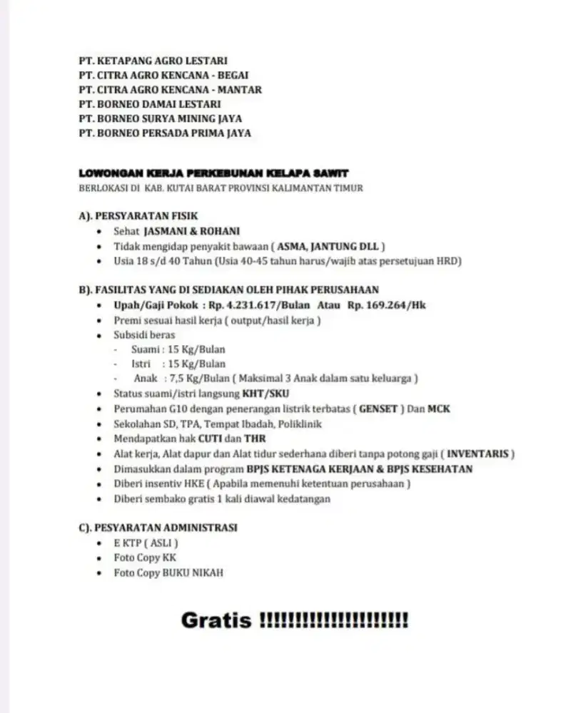 loker perkebunan sawit