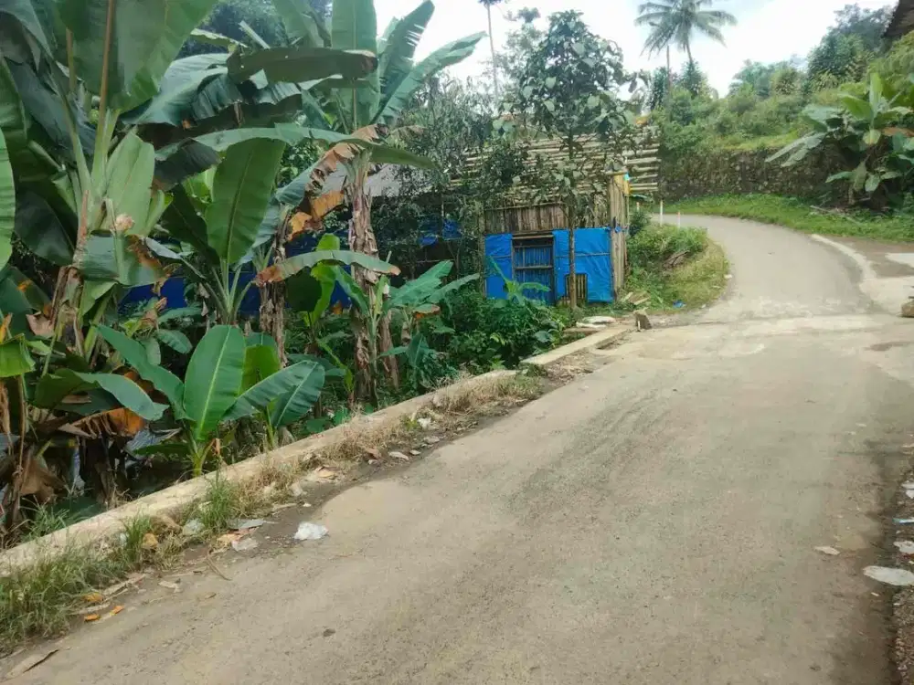 TANAH KEBUN MURAH DAN STRATEGIS DI GUNUNG BUNDER BOGOR PAMIJAHAN