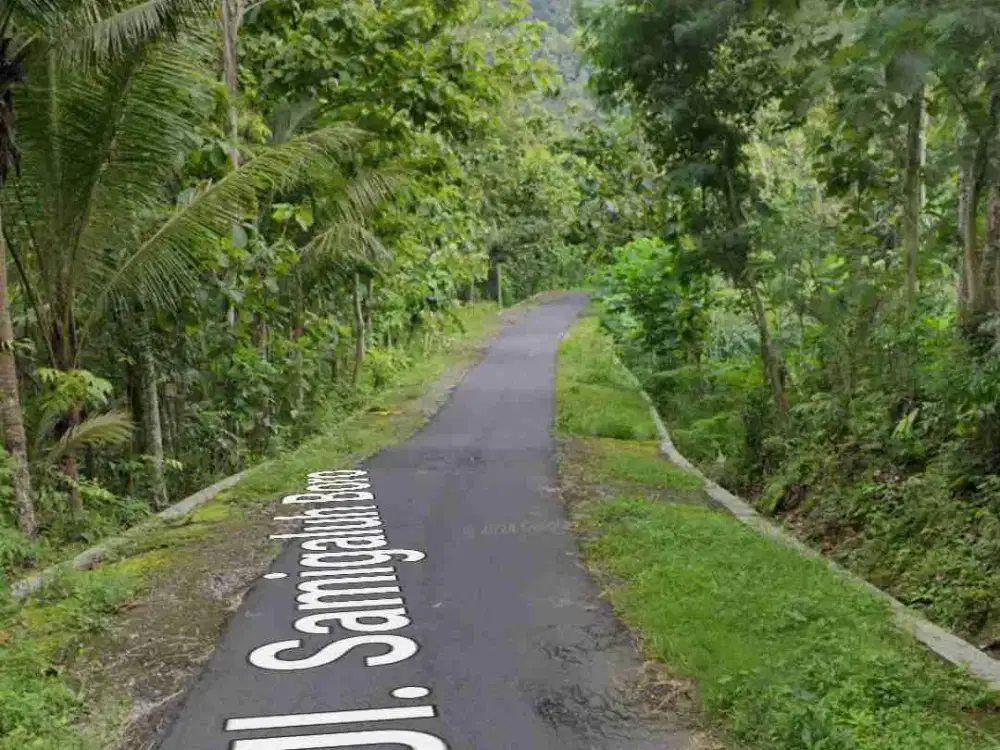 Tanah Murah Tepi jl Raya Samigaluh Kulon Progo