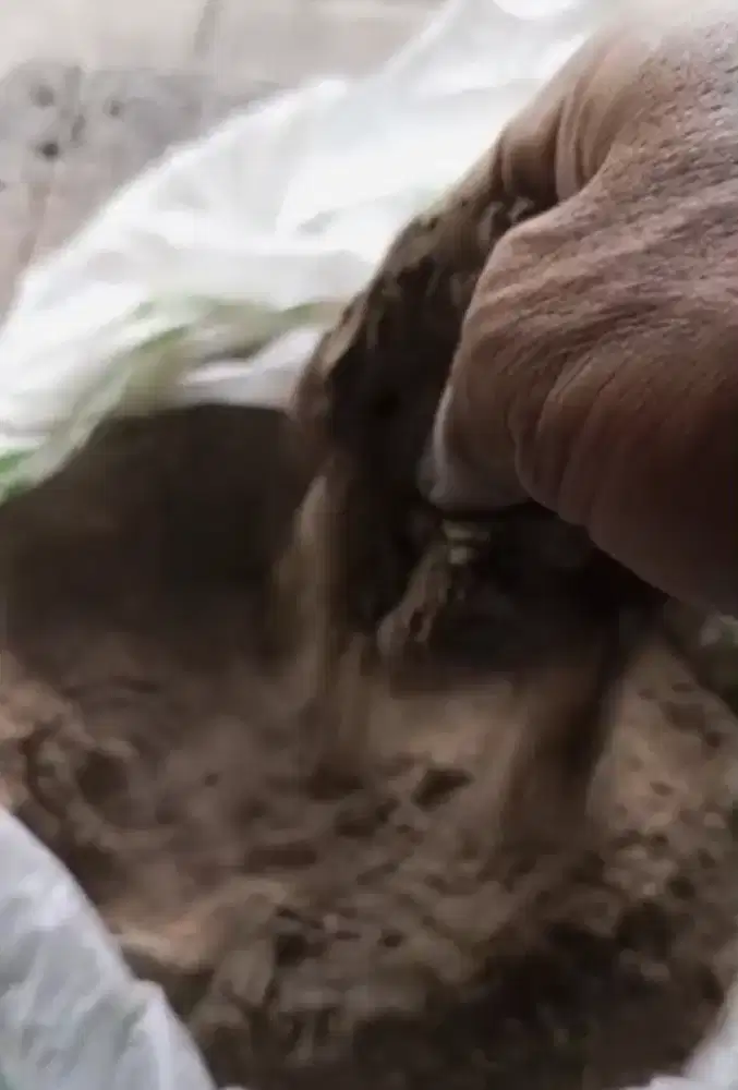 KEBUTUHAN PAKAN TERNAK