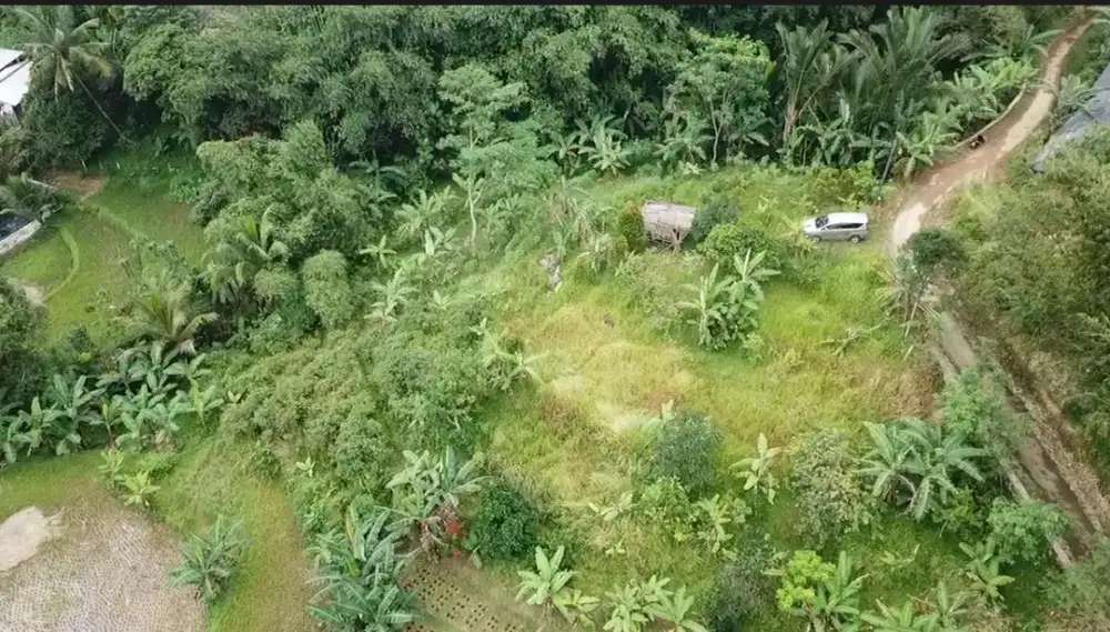 Dijual Tanah Kebun 1540m2, di daerah Leuwisadeng, Leuwiliang - Bogor