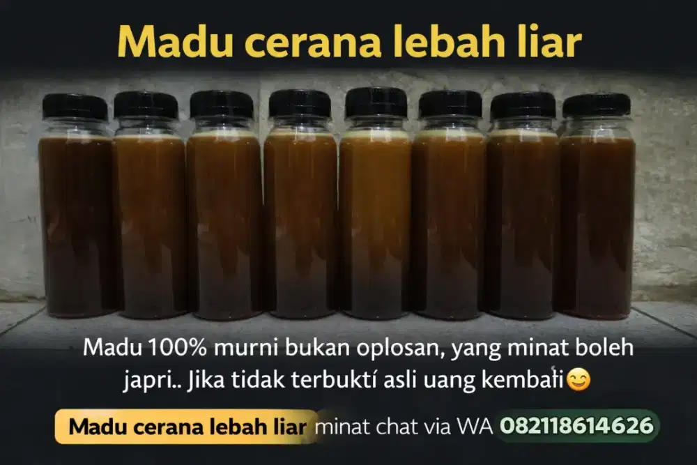 Madu liar asli cerana