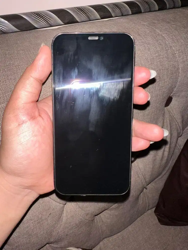 Iphone 12 pro internal 256