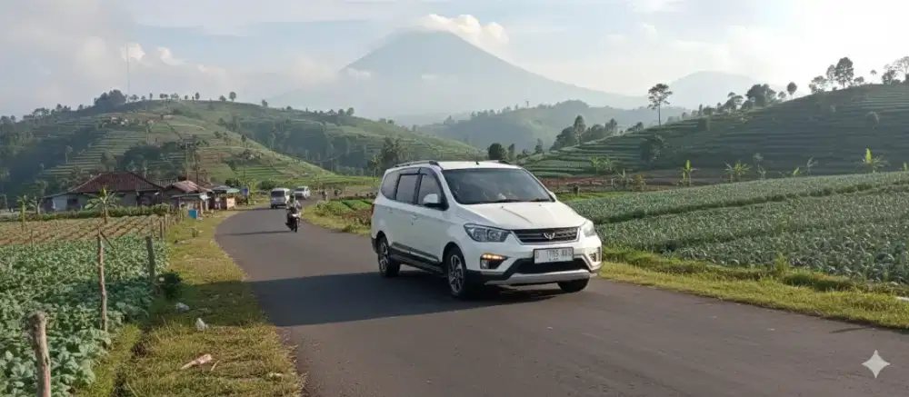 Wuling Confero S 2017 Bensin