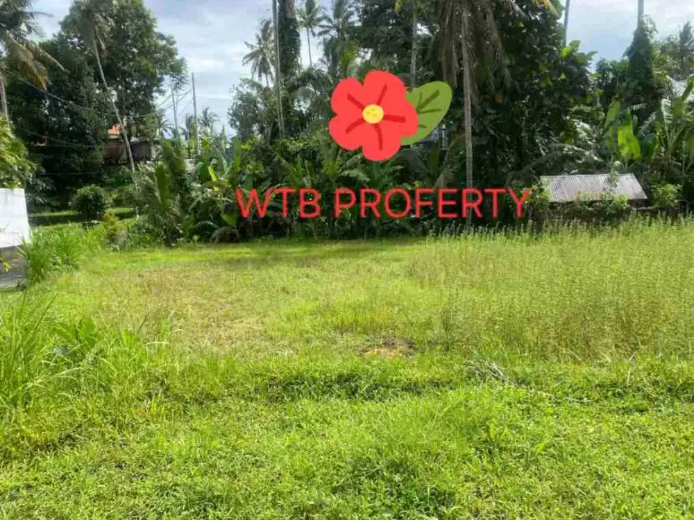land for sale tanah   10 are view sawah di ubud