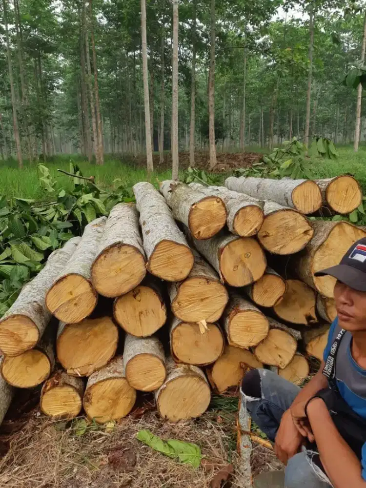 Di Jual. Tanah Kebun Produktif