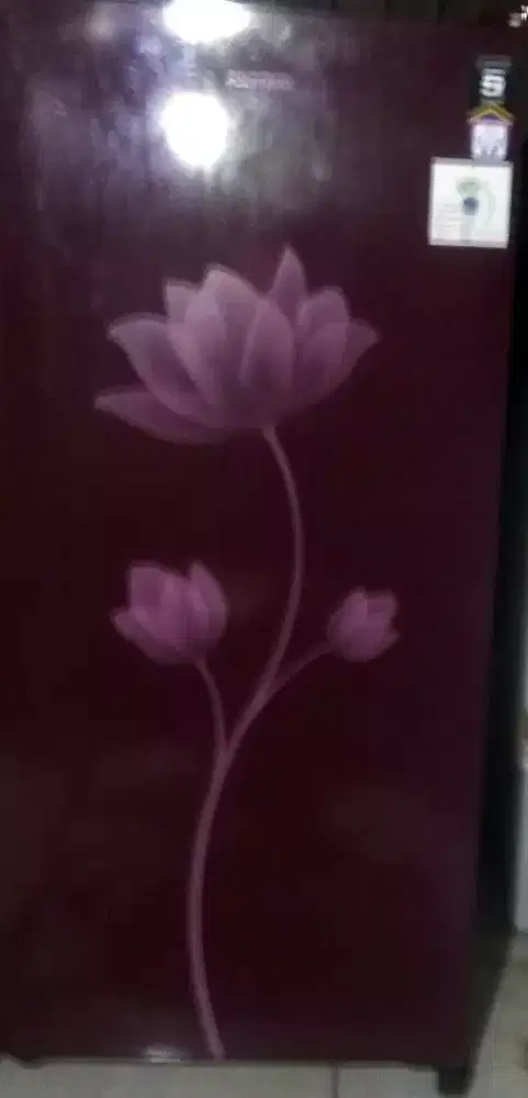 kulkas 1 pintu polytron