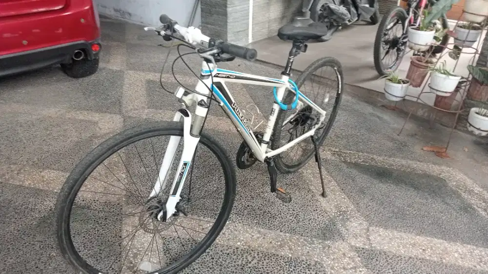 Jual sepeda polygon nego