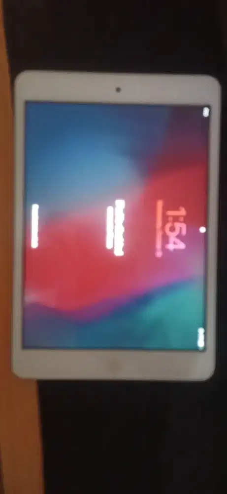 Ipad Mini 2 (Borongan)