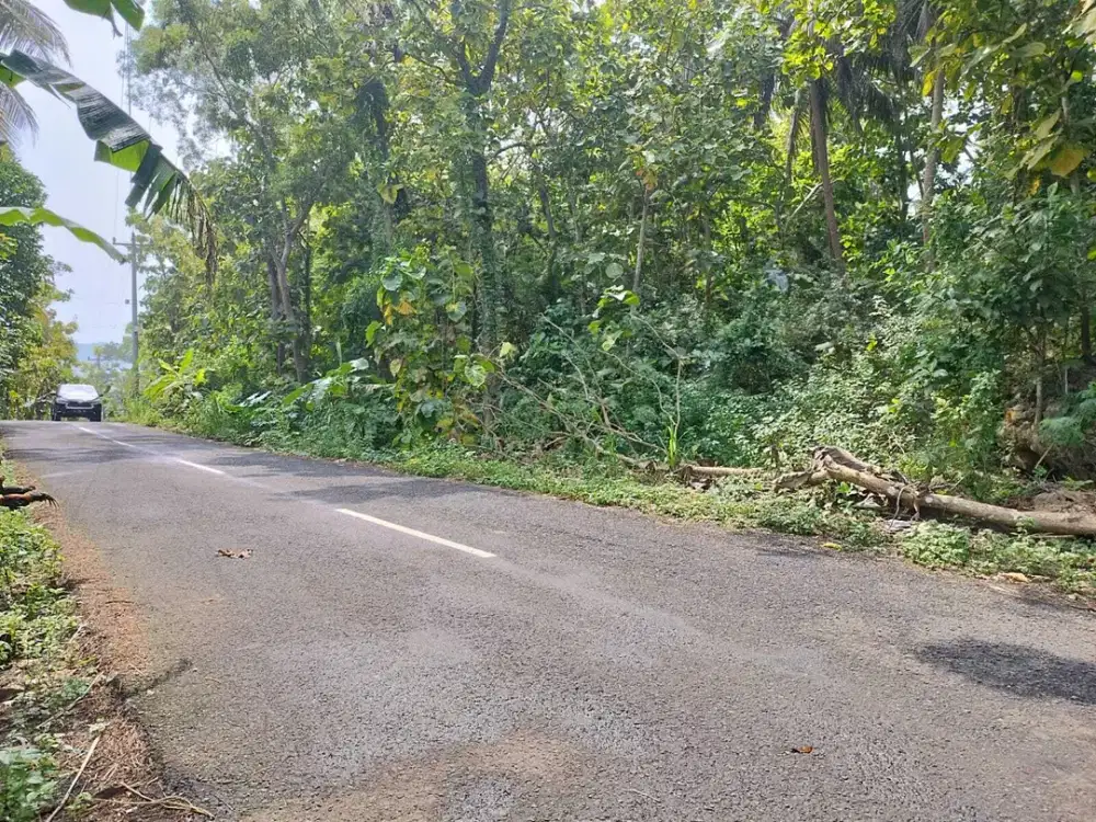 Tanah dijual dekat Paralayang & obelix sea view, cocok untuk Villa