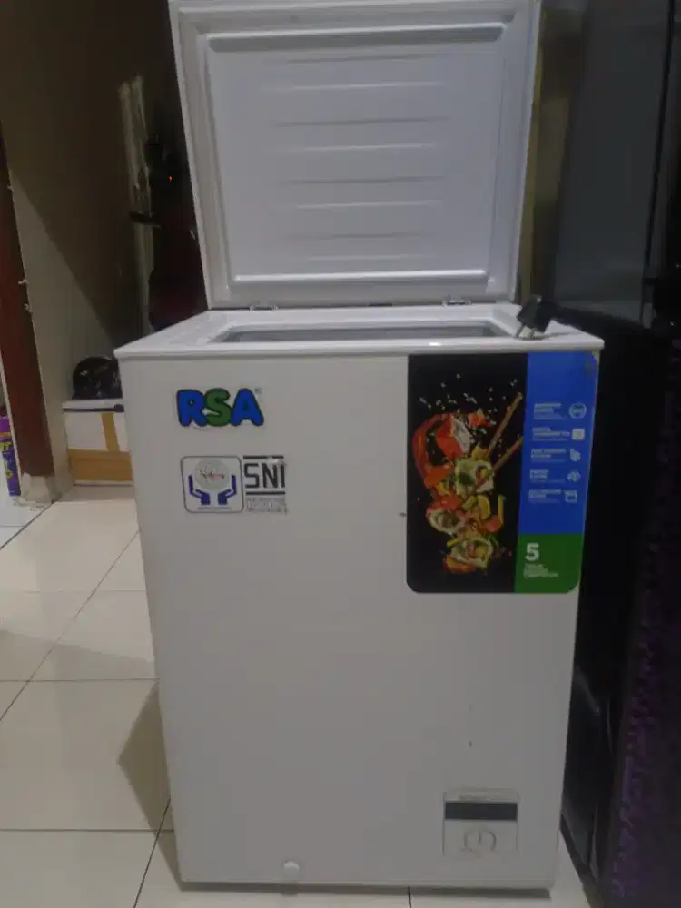 Freezer RSA 100 L