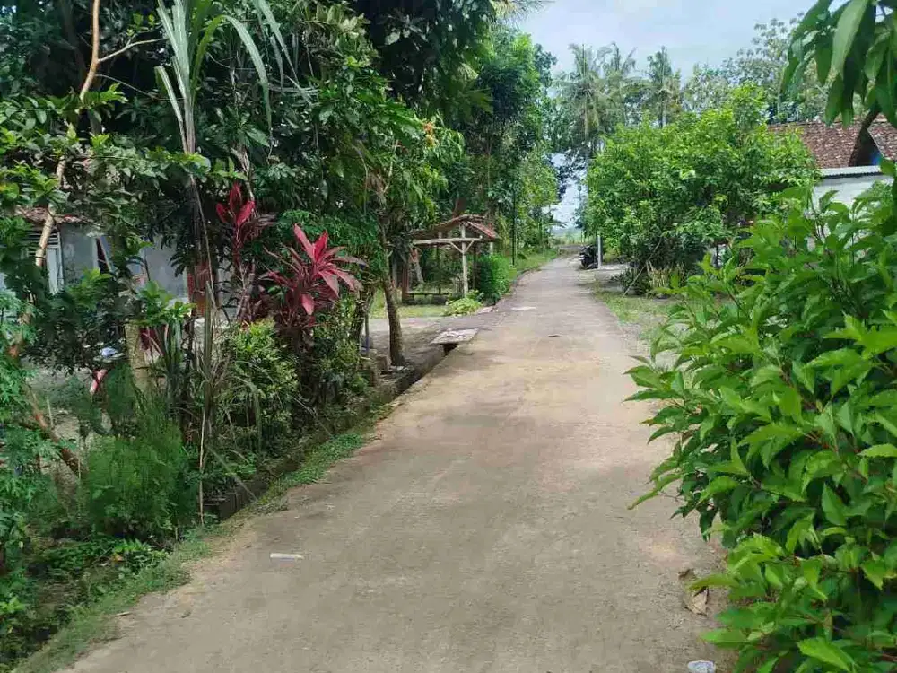 Tanah Dijual di Sogan Wates Kulon Progo