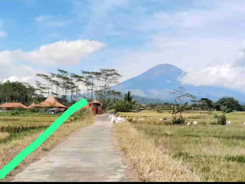 Tanah Dijual View Gunung Merapi, Merbabu, Sumbing dan Hamparan Sawah Di Magelang