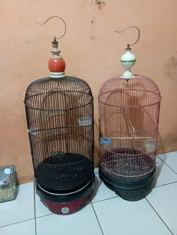 Kandang lovebird ebod dan non merk