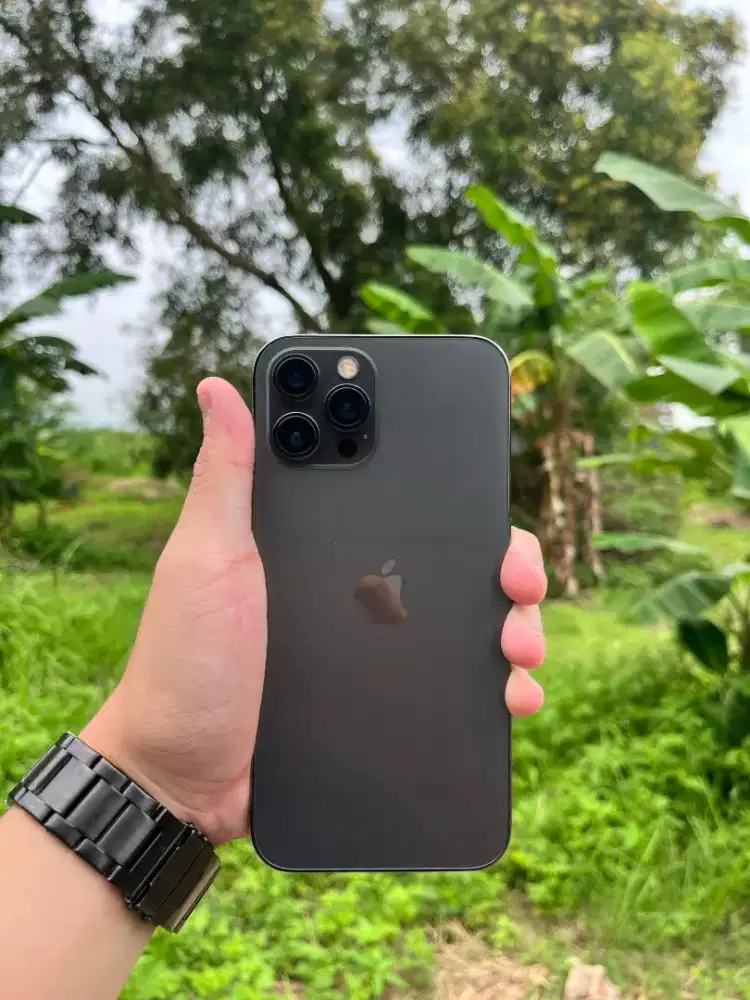 iPhone 12 pro max 256GB wifi only