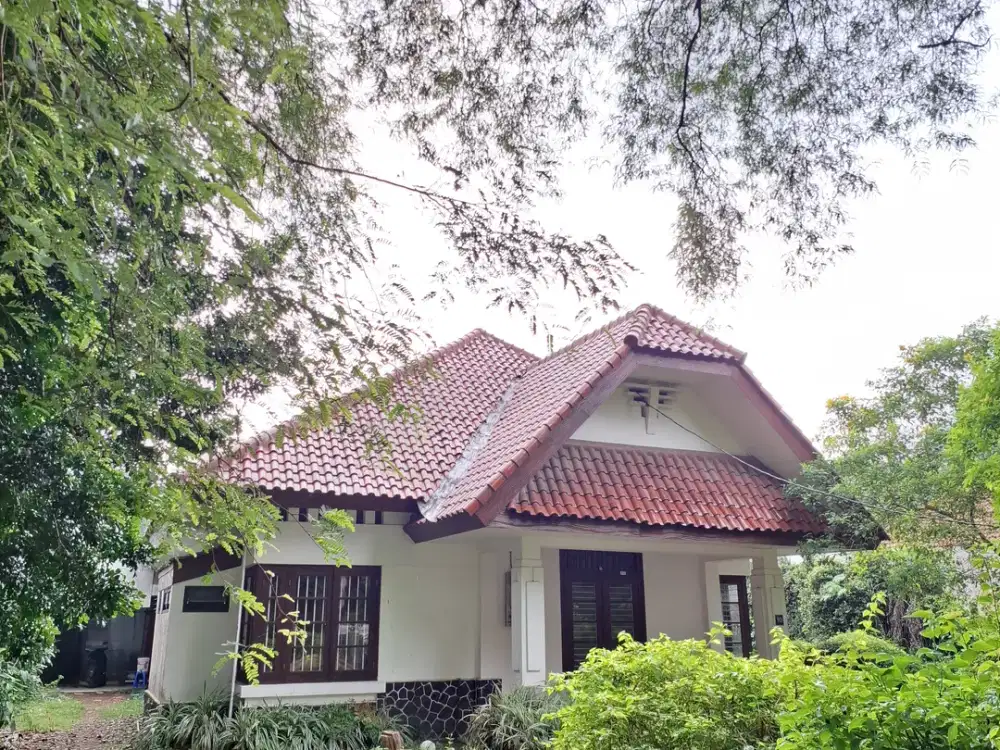 Rumah Klasik Terawat Di Menteng Jakarta Dengan Halaman Luas