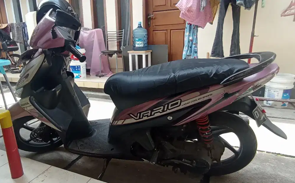 Vario Pink 2010