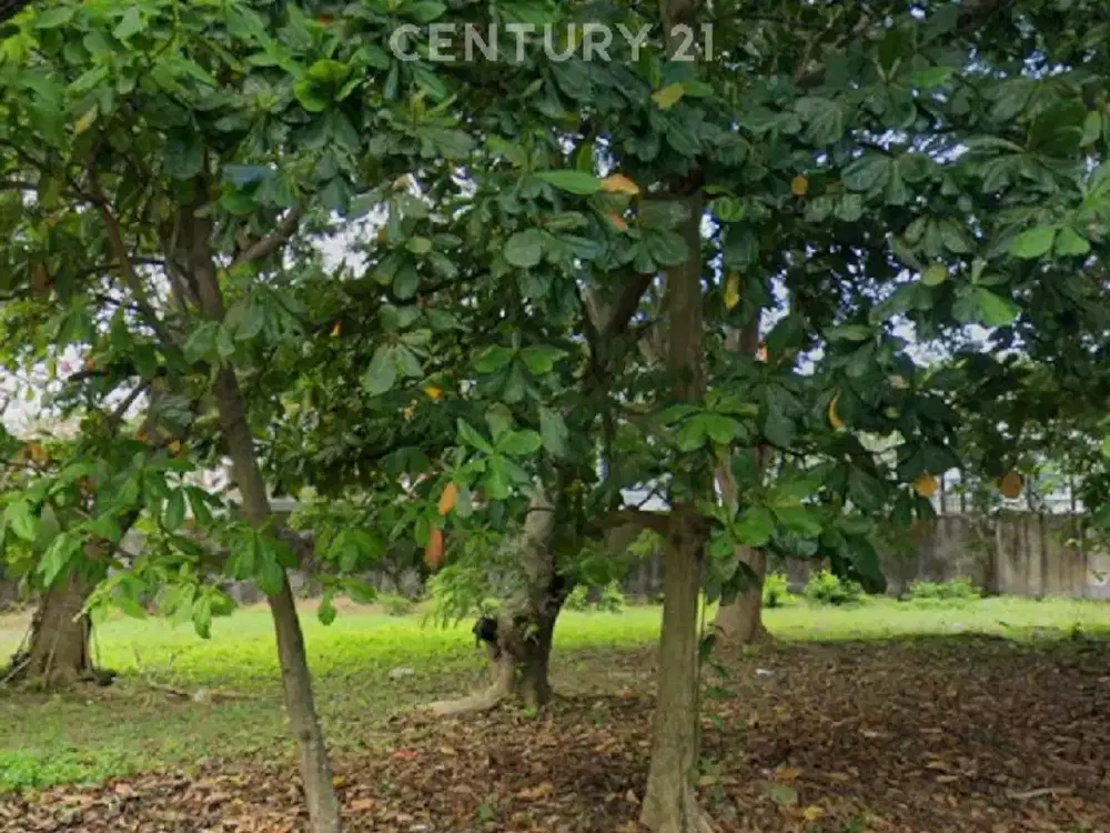 Peluang Emas, Tanah Di Padma Boulevard Utara, Area Hunian Premium