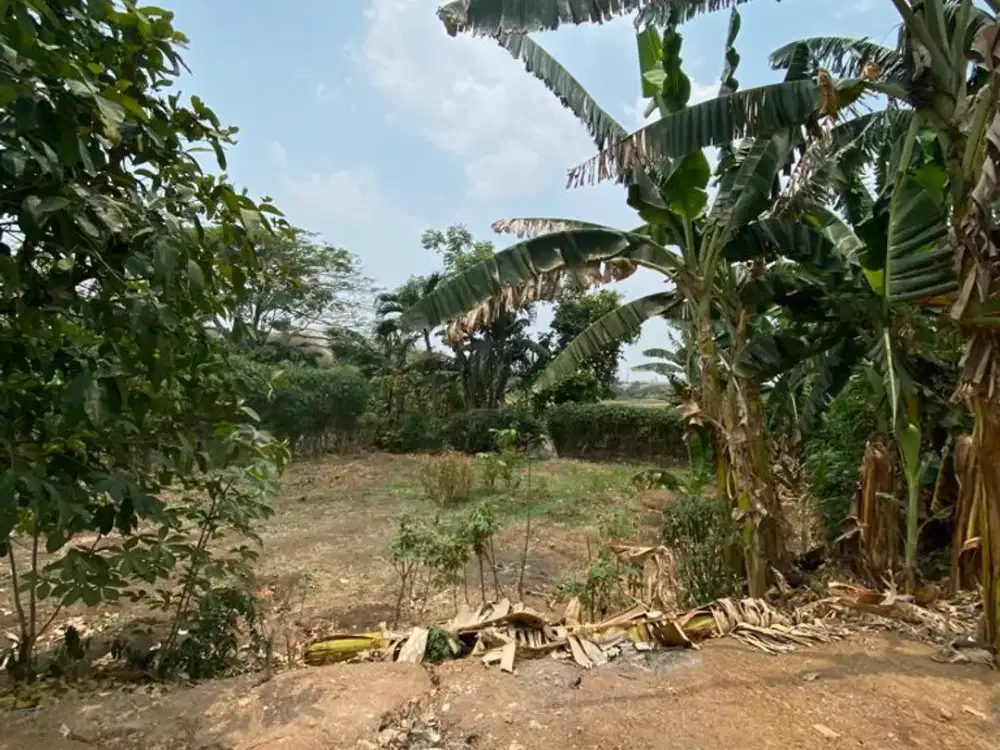 Tanah di Raya Naragong