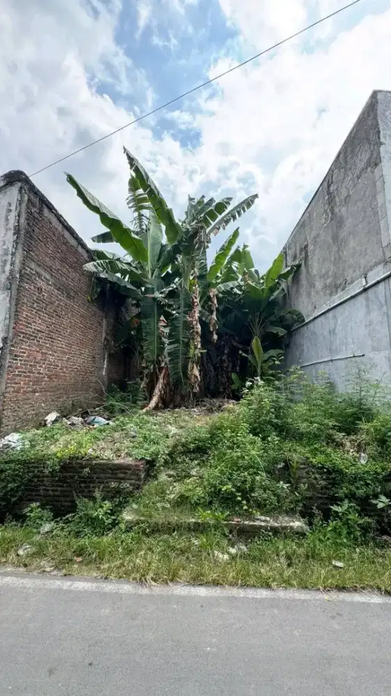 Dijual Tanah UMS L:88m