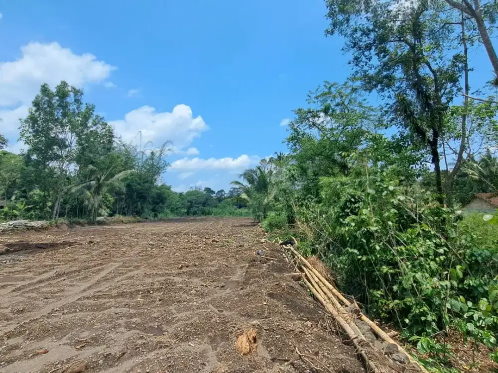 Tanah Siap Bangun Dekat Wisata Kuliner Kopi Klotok