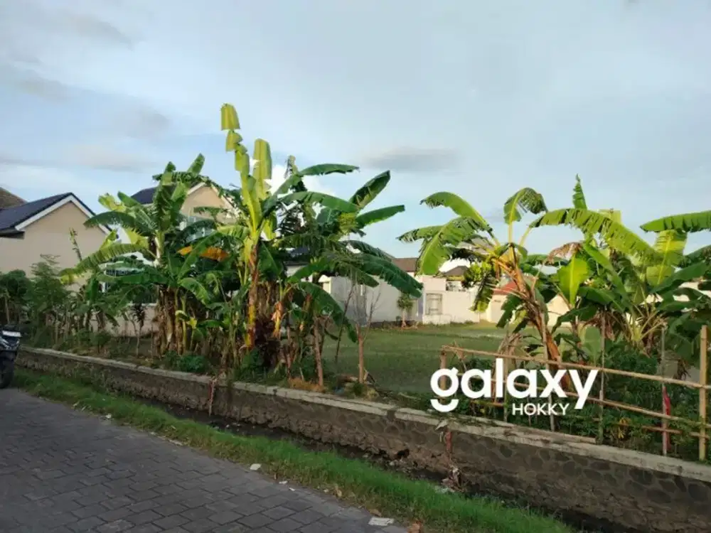 DIJUAL TANAH PREMIUM DAN STRATEGIS DI AREA RENON DENPASAR