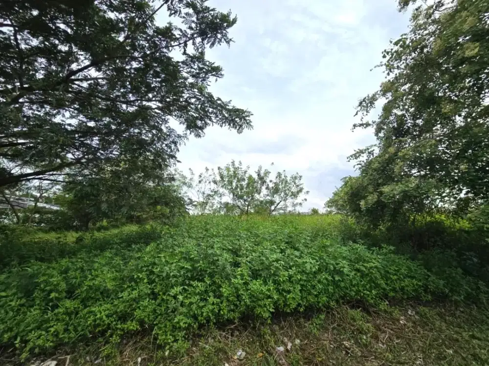 Kavling dikawasan industri Greenland luas 11118m Delta Mas Cikarang