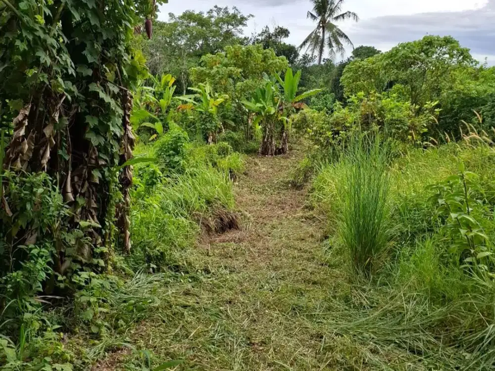 DIJUAL KAVLING LUAS & MURAH SUDAH SHM!