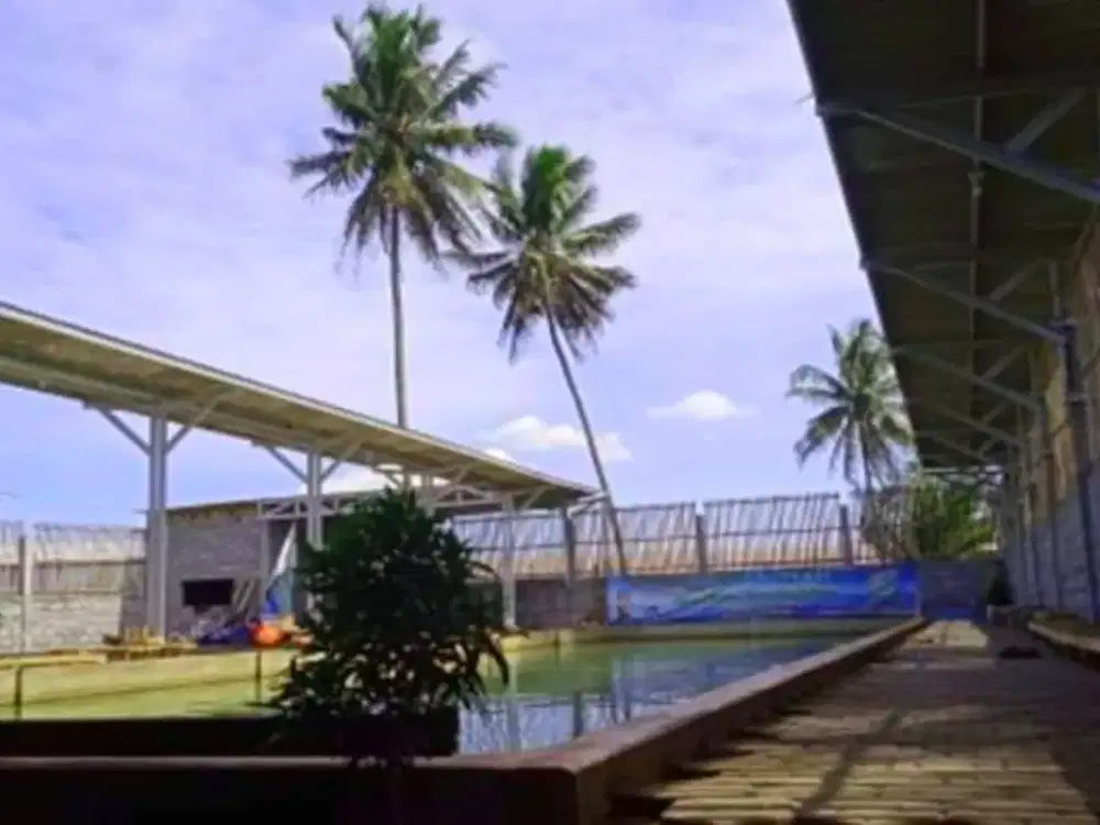 Tanah Strategis Luas 541 Meter Persegi BONUS Kolam Ikan