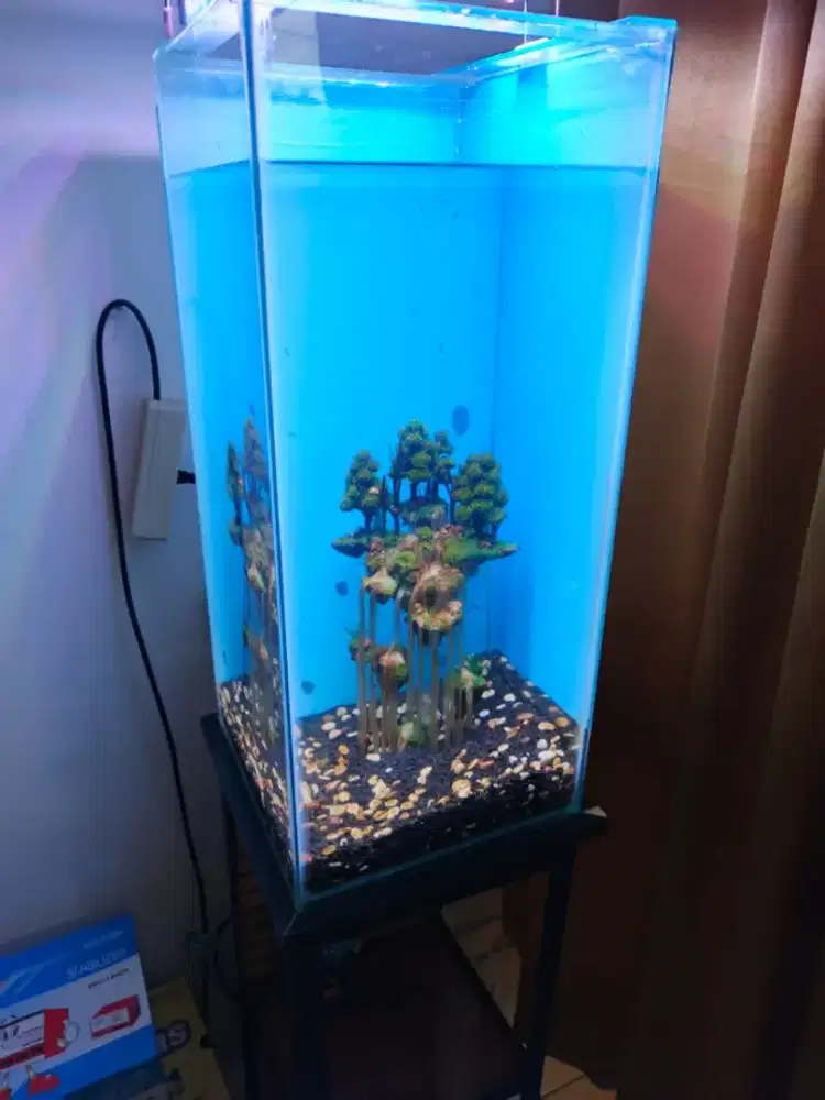 Aquarium 30x30x65