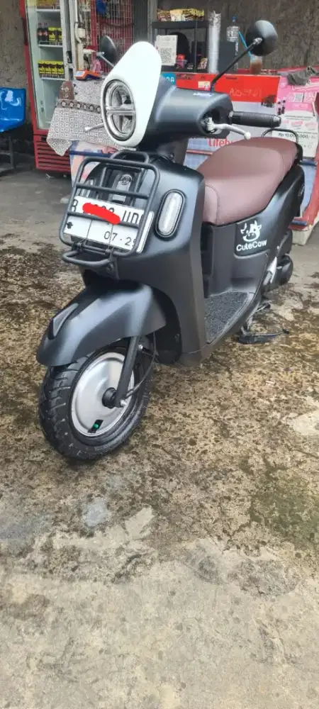 Fazzio lux blue core