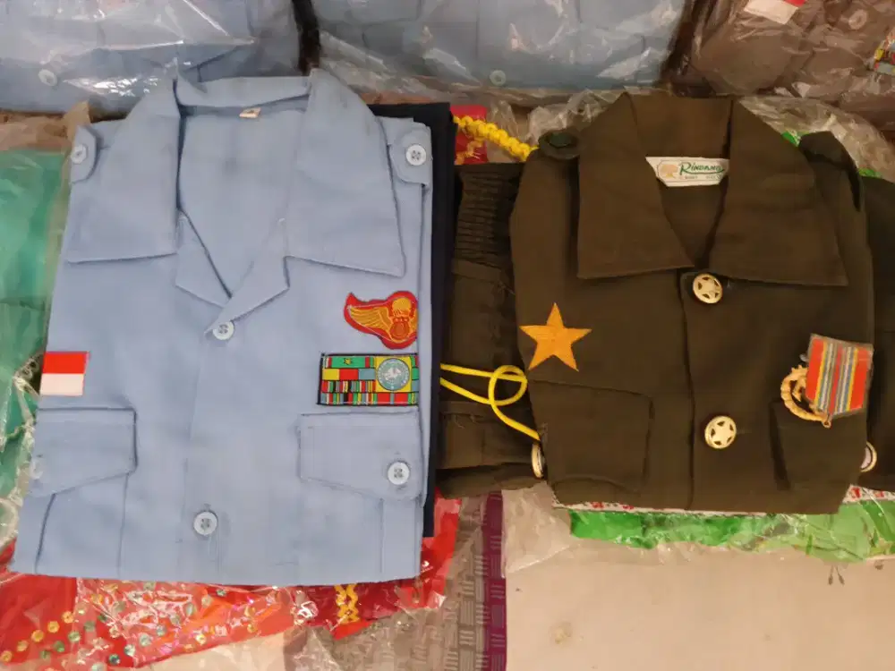 Baju Karnaval Anak dan Remaja