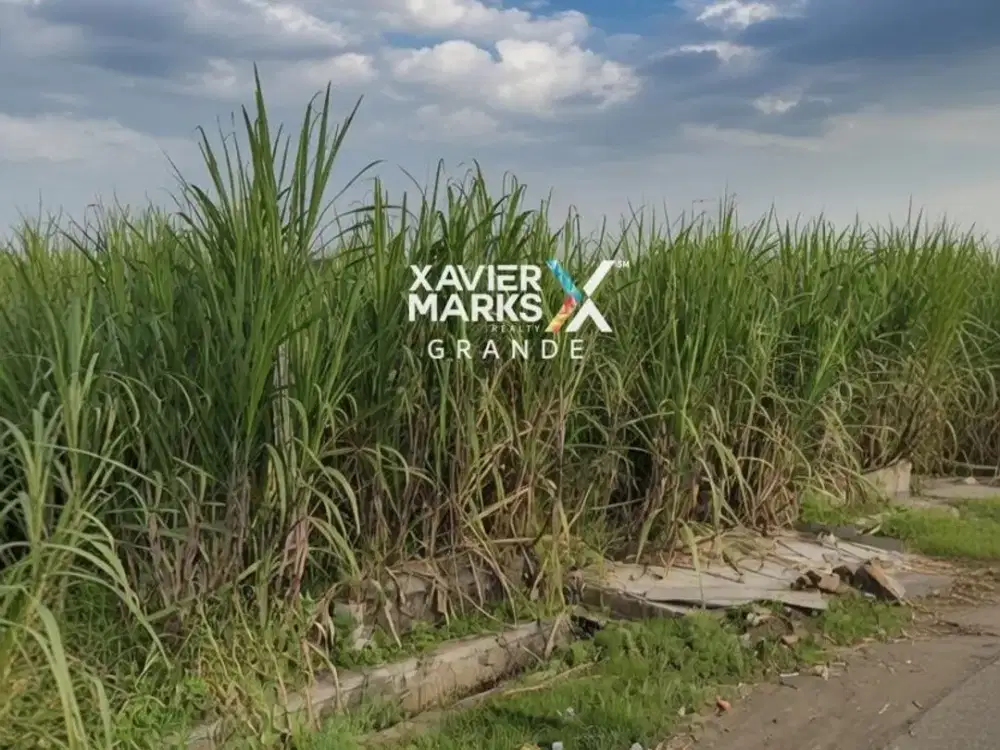 Dijual Tanah area Industri di Gondanglegi , Malang