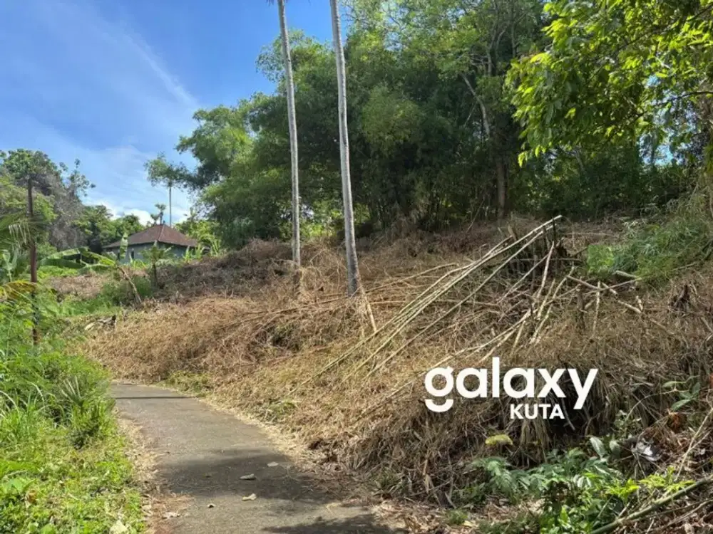 DIJUAL TANAH 14 ARE SHM DI TUMBU KARANGASEM