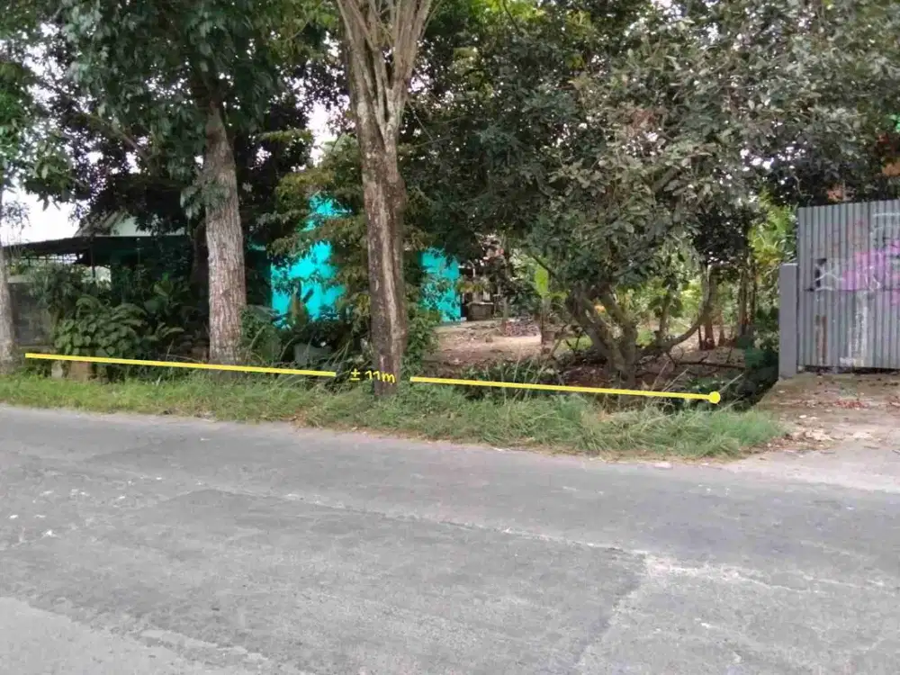 DIJUAL SAWAH STRATEGIS DI SIDOMOYO GODEAN SLEMAN