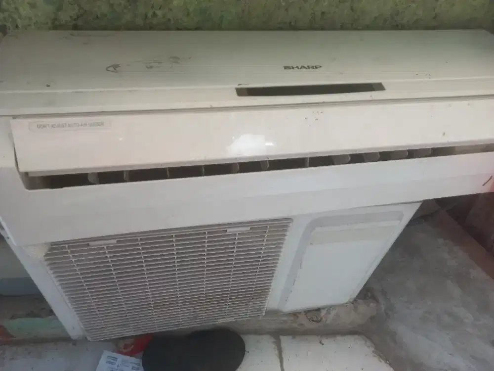 AC sharp 1 PK normal