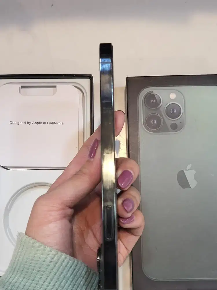 Iphone 13 pro max 256 GB