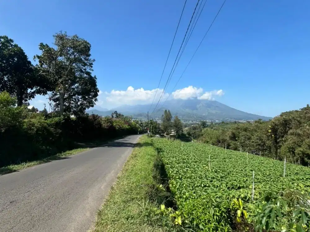 Tanah dijual LT2500 leb80 AJB pujon batu malang 750jt