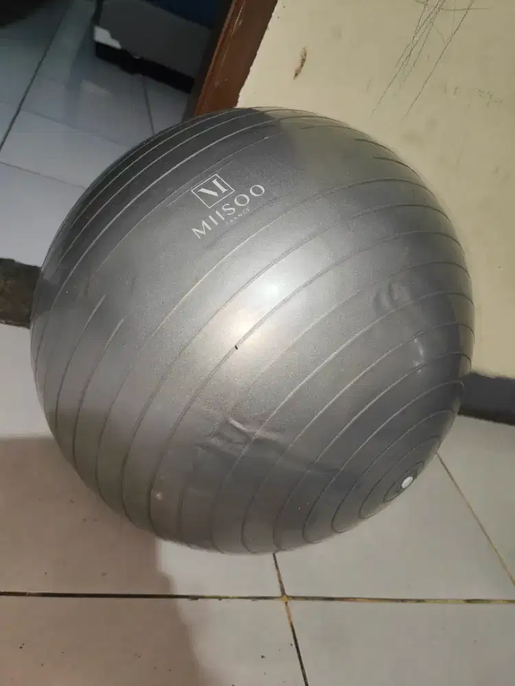 Gym Ball Training Miiso