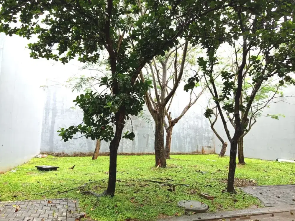 Dijual Kavling BSD Greenwich Whelford Hadap Taman Tangerang