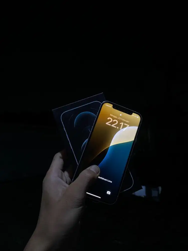 ip 12 pro 256 gb ex inter