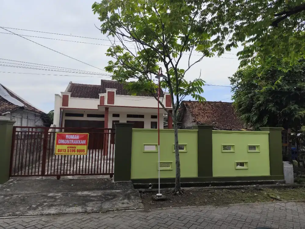 Disewakan rumah untuk rumah tangga/perorangan diarea Cepu