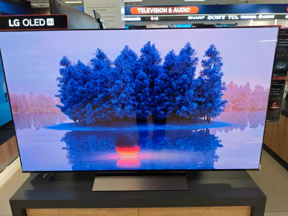 OLED 55 LG ex like new