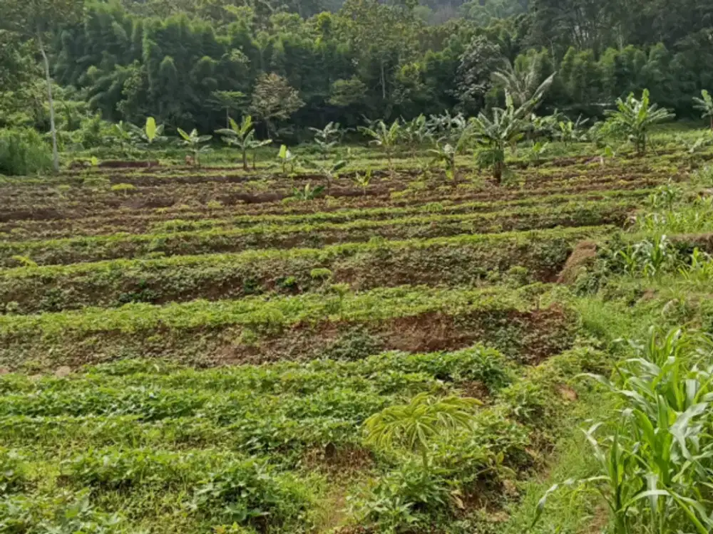 Dijual Tanah dengan View perbukitan di Pacet Mojokerto