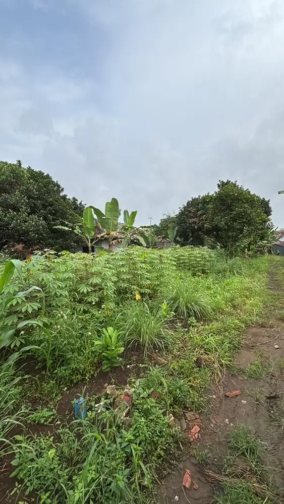 Dijual tanah strategis dekat IPB bogor